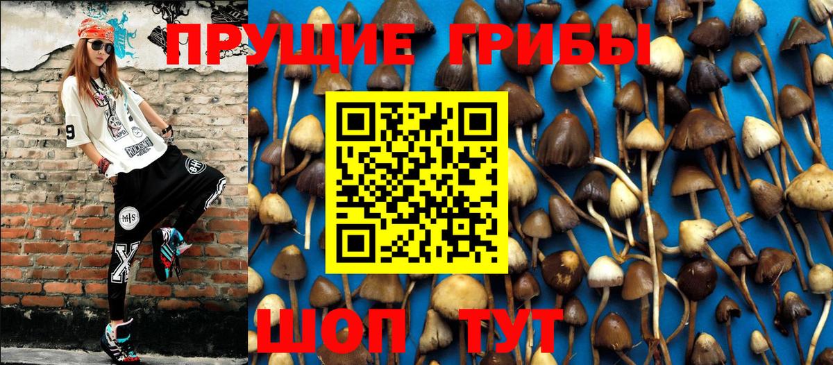 Галлюциногенные грибы Cubensis Реутов