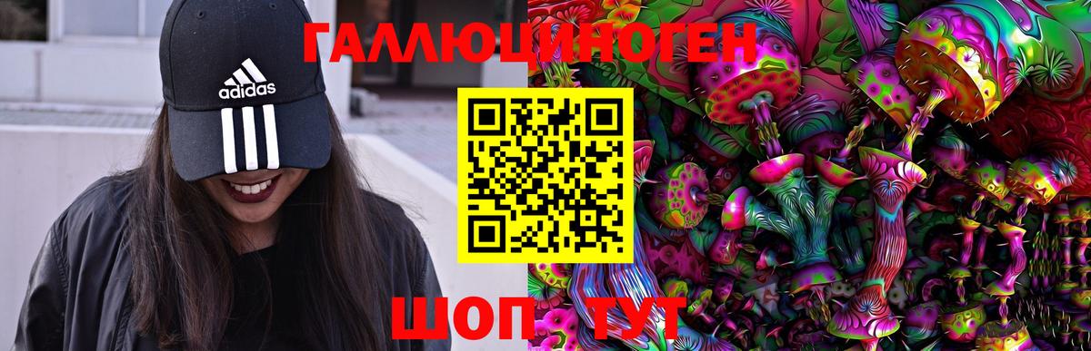 Реутов  Псилоцибиновые грибы Psilocybe  Вход с VPN 
